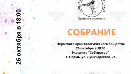 Встреча Пермского орнитологического общества