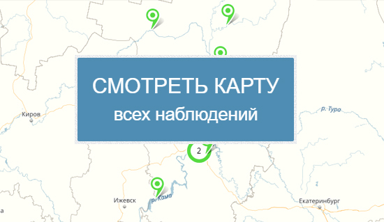 Смотреть карту всех наблюдений. KamaBirds.ru